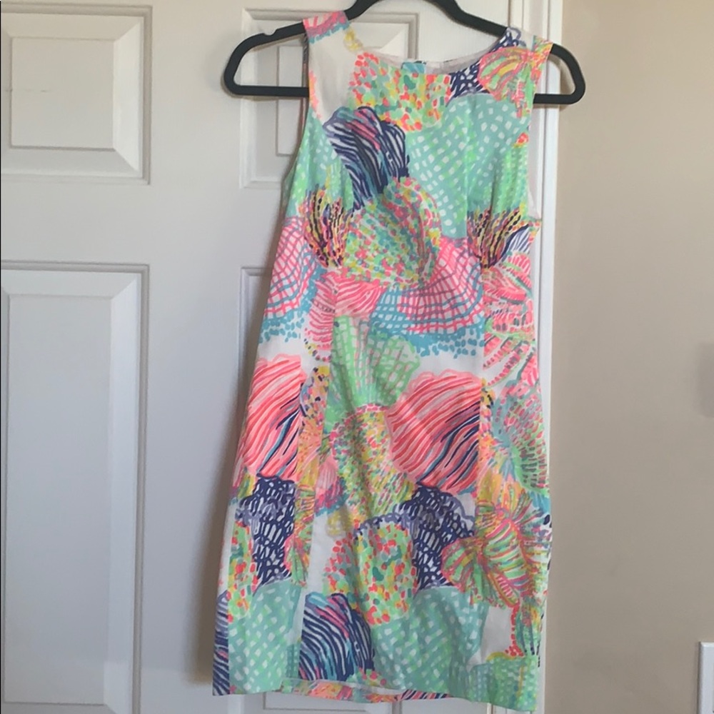 Woman’s Lily dress size 2